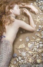 mermaid-romant-via-never-sea-land